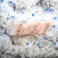 Fresh Red Snapper Fillet